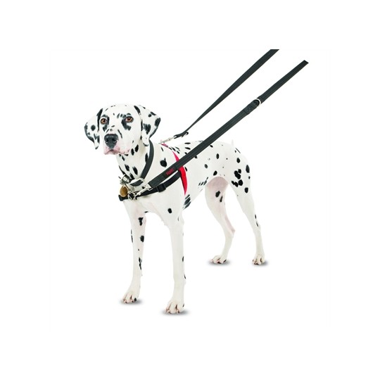 Halti Harness Front Control Zwart