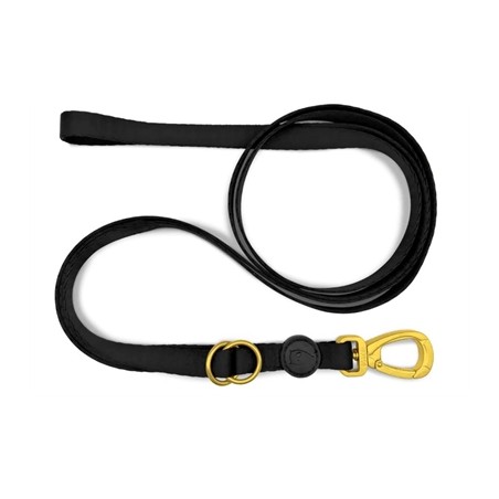 Morso Hondenriem Verstelbaar Gerecycled Gold Caviar Goud