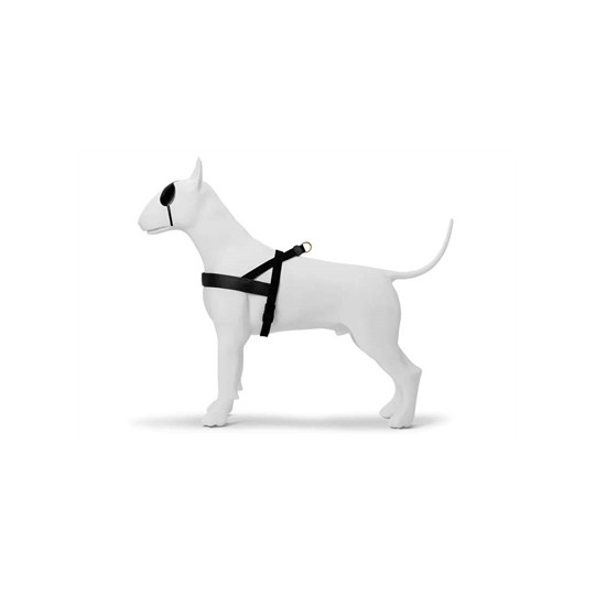 Morso Norwegian Hondentuig Gerecycled Gold Caviar Goud