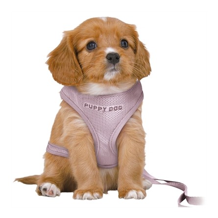 Trixie Hondentuig Junior Puppy Softtuig Met Riem Lila