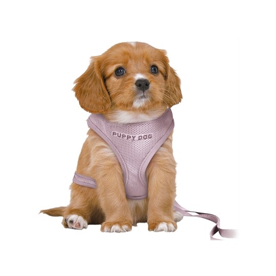 Trixie Hondentuig Junior Puppy Softtuig Met Riem Lila