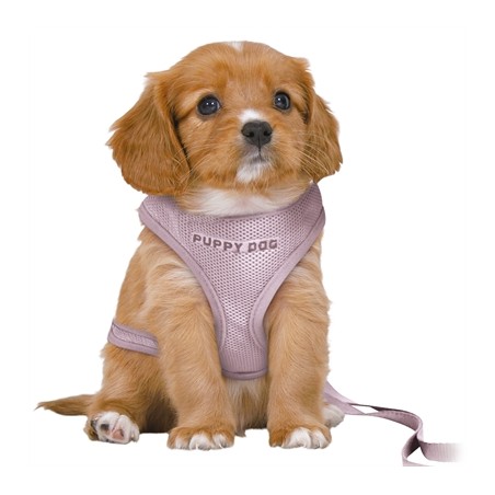 Trixie Hondentuig Junior Puppy Softtuig Met Riem Lila