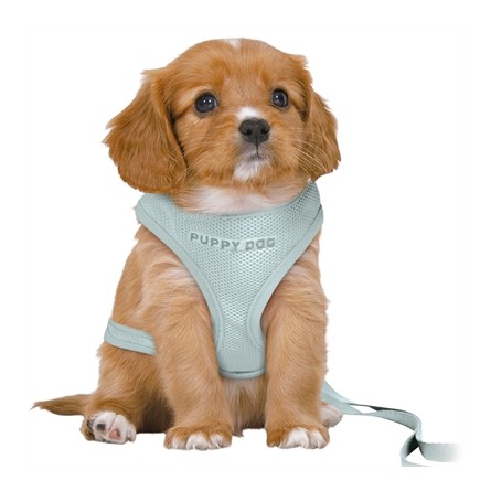 Trixie Hondentuig Junior Puppy Softtuig Met Riem Mintgroen
