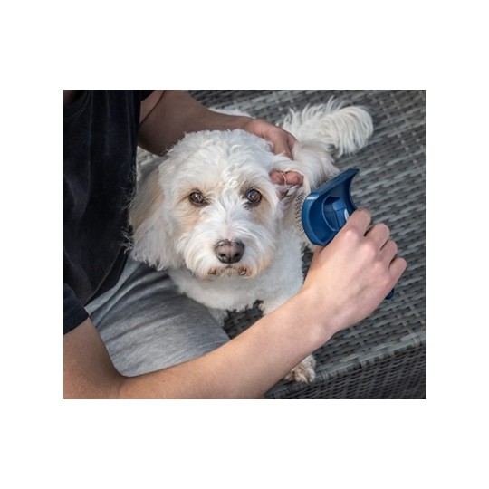 Mikki Doodle Grooming Kit Met Kam En Slickerborstel