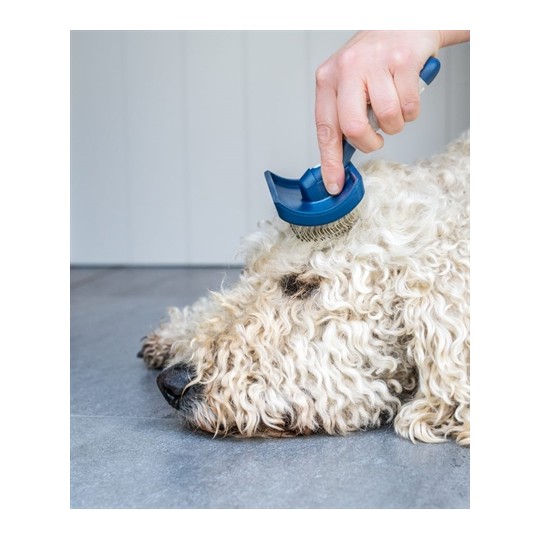 Mikki Doodle Grooming Kit Met Kam En Slickerborstel
