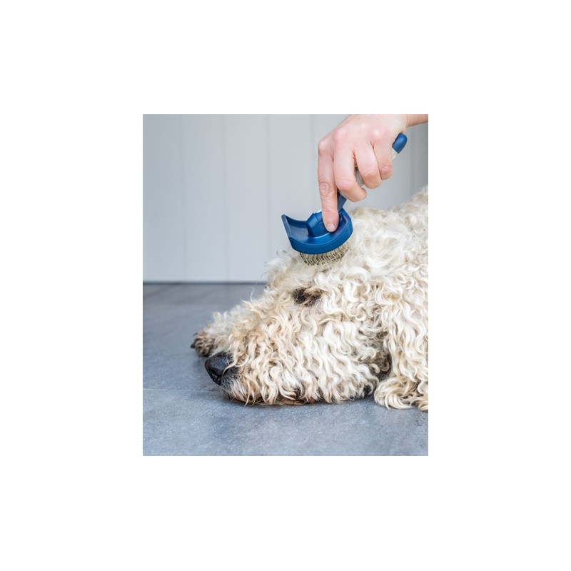 Mikki Doodle Grooming Kit Met Kam En Slickerborstel