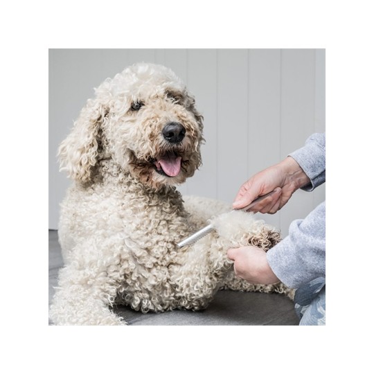 Mikki Doodle Grooming Kit Met Kam En Slickerborstel