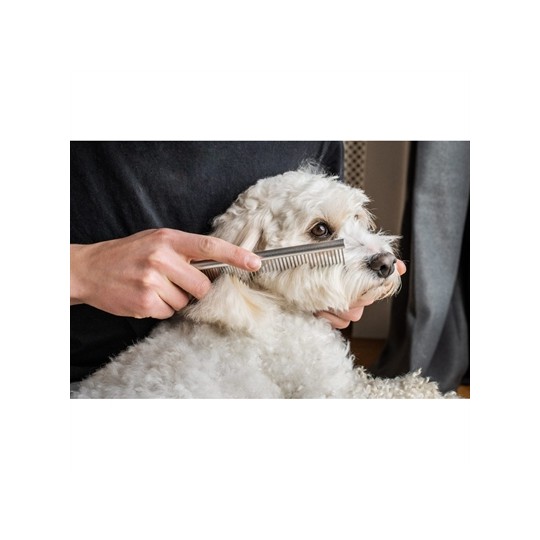 Mikki Doodle Grooming Kit Met Kam En Slickerborstel