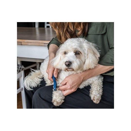 Mikki Doodle De-Matter