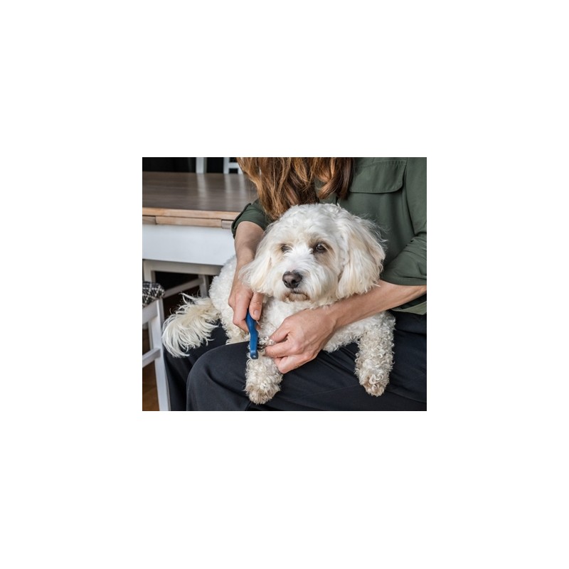 Mikki Doodle De-Matter