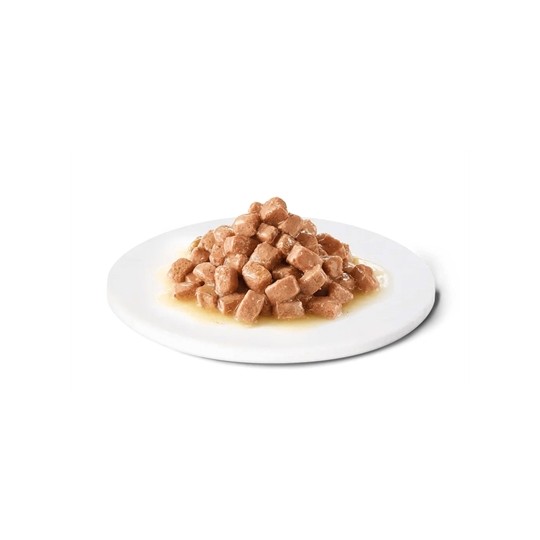 Advance Veterinary Diet Dog / Cat Recovery Herstel