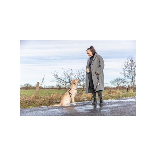 Trixie Beloningszakje Snackzakje Velours Assorti