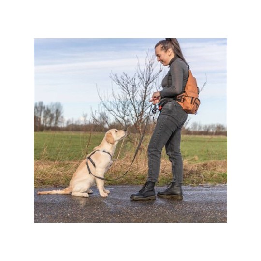 Trixie Rolltop Rugtas Met Heuptas Met Riem Roest