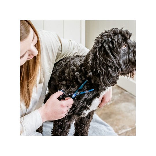 Mikki Doodle Effileerschaar Enkel