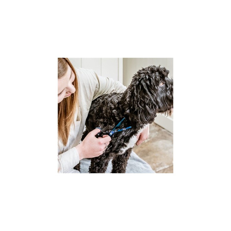 Mikki Doodle Effileerschaar Enkel