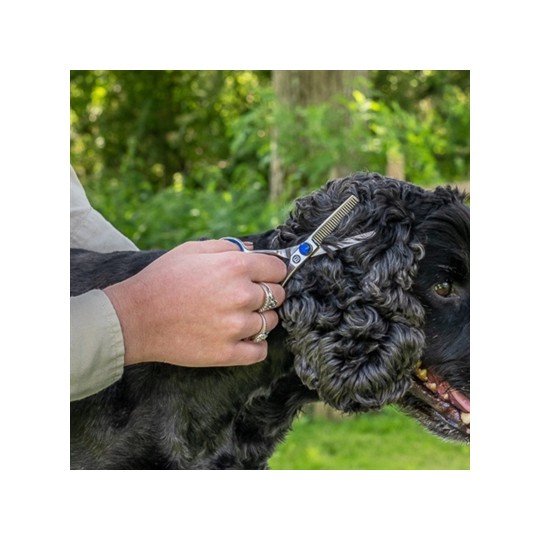 Mikki Doodle Effileerschaar Voor Kop En Poten