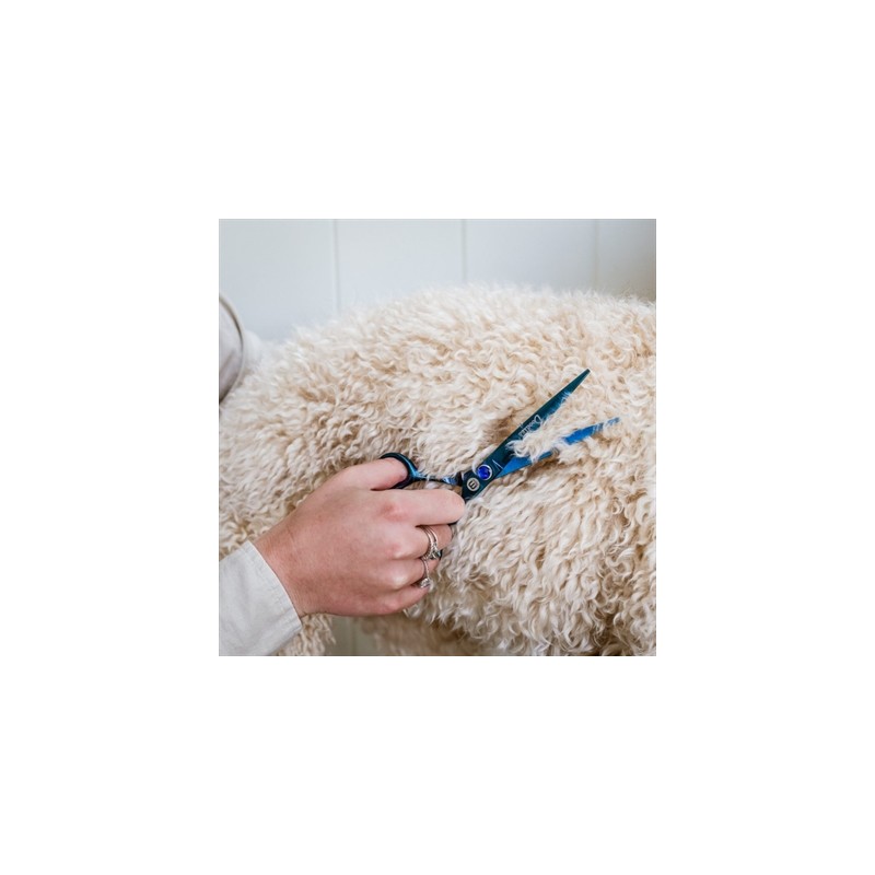 Mikki Doodle Schaar Recht