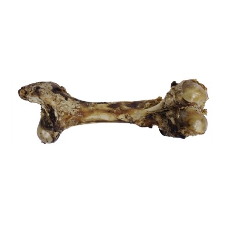 Petsnack Dinobot Xxl