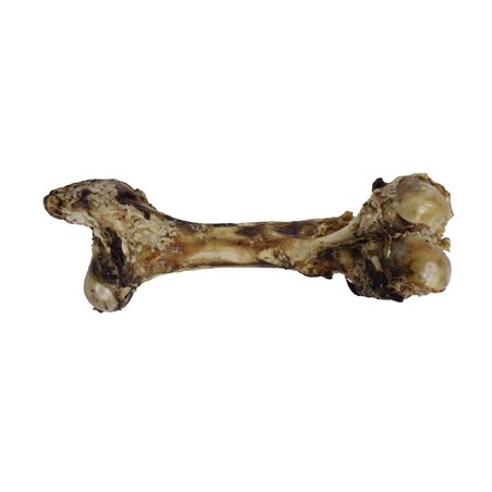 Petsnack Dinobot Xxl