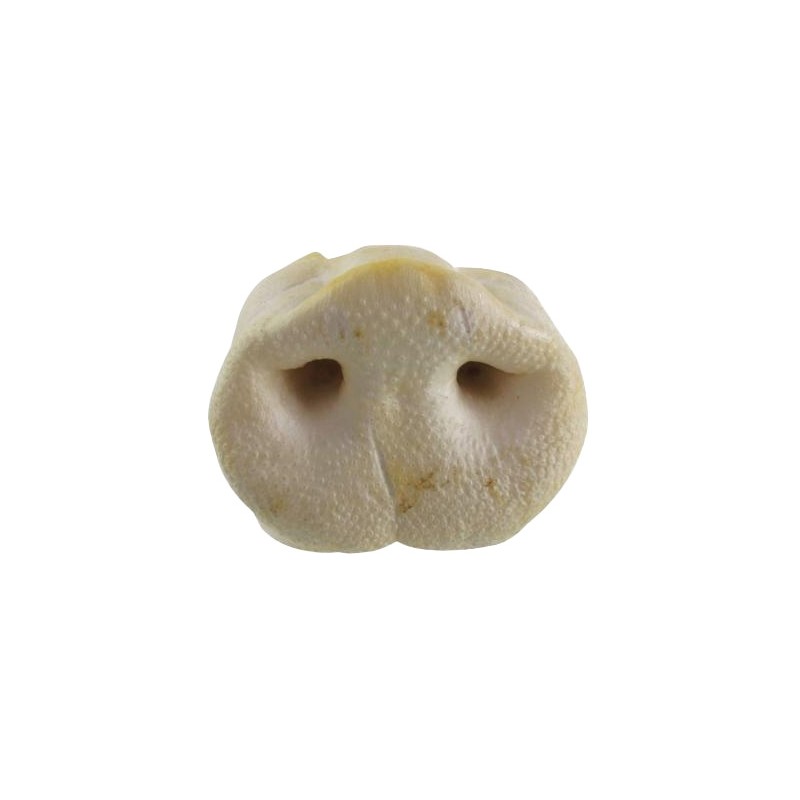 Petsnack Gepofte Varkensneuzen