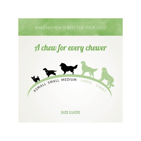 Antos Chicken D'light Lollies