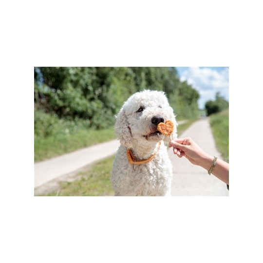 Trixie Premio Lolly Met Kip En Rijst