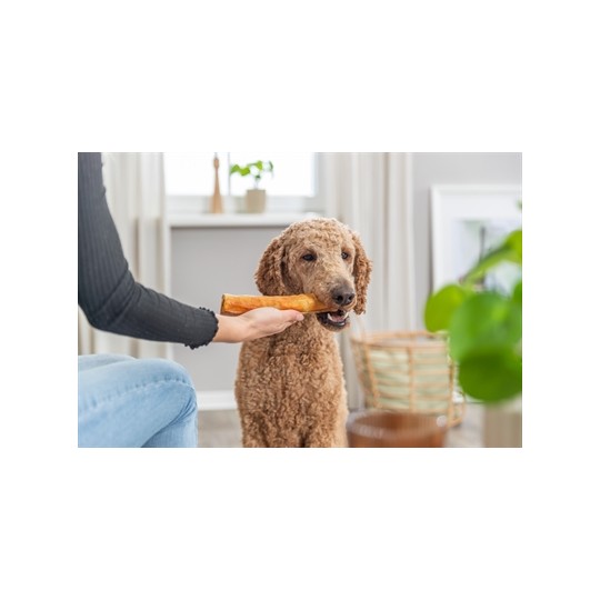 Trixie Denta Fun Roll Van Collageen Met Kip