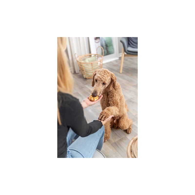 Trixie Denta Fun Twists Van Collageen Met Kip