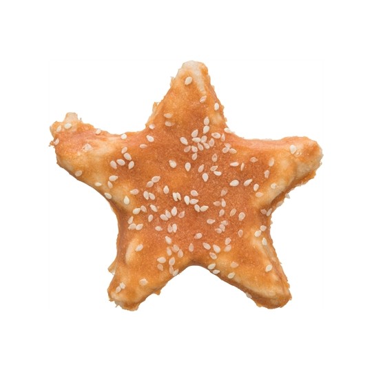 Trixie Denta Fun Ster Kip