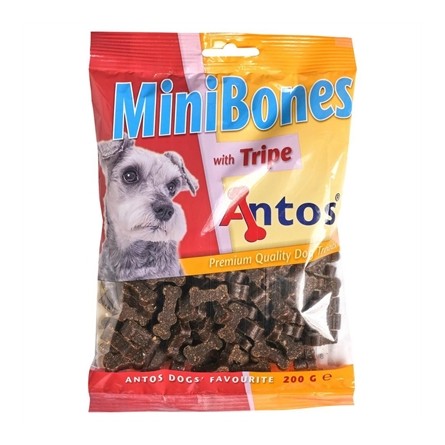 Antos Mini Bones Pens
