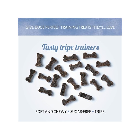 Antos Mini Bones Pens