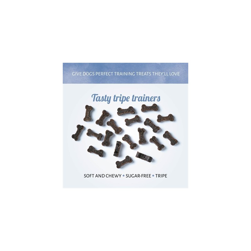 Antos Mini Bones Pens