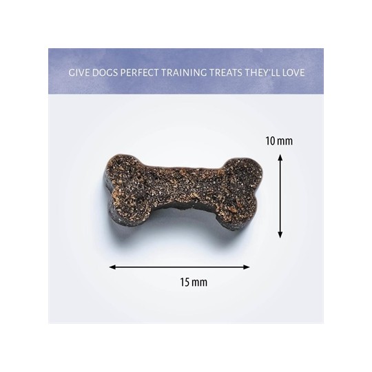 Antos Mini Bones Pens