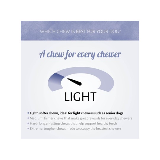 Antos Mini Bones Pens