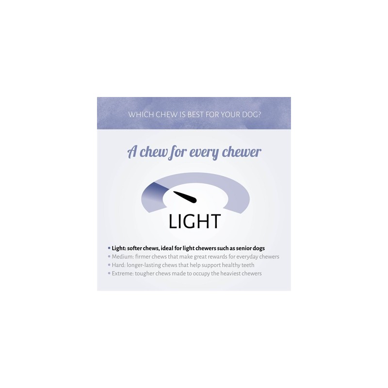 Antos Mini Bones Pens