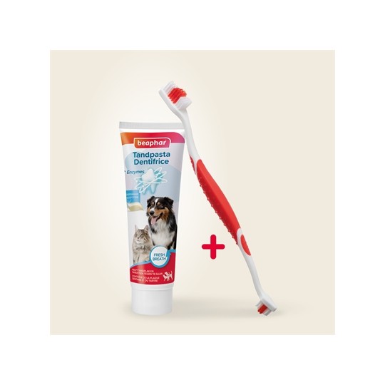 Beaphar Tandpasta En Borstel Combi-Pack
