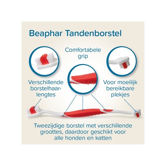 Beaphar Tandpasta En Borstel Combi-Pack