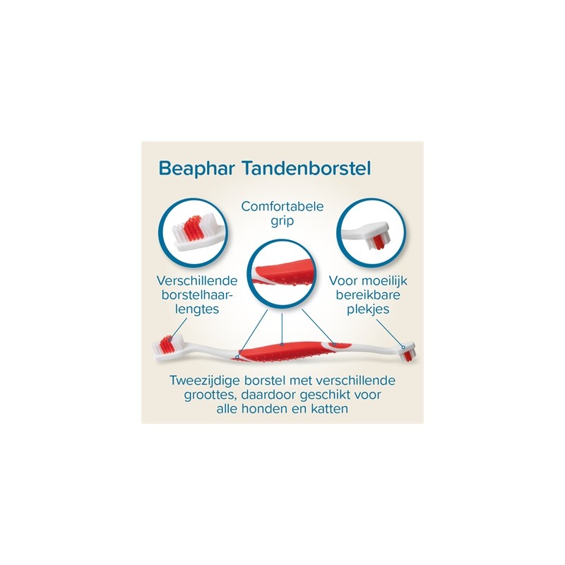 Beaphar Tandpasta En Borstel Combi-Pack