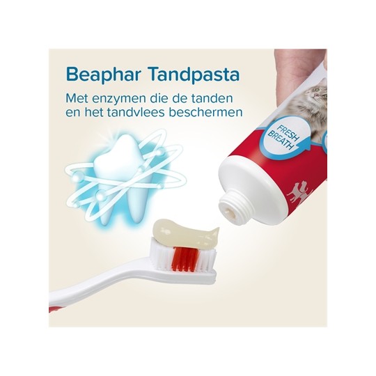 Beaphar Tandpasta En Borstel Combi-Pack