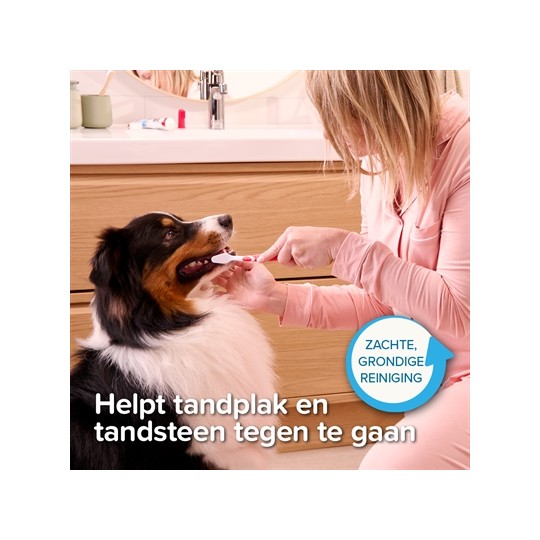 Beaphar Tandpasta En Borstel Combi-Pack