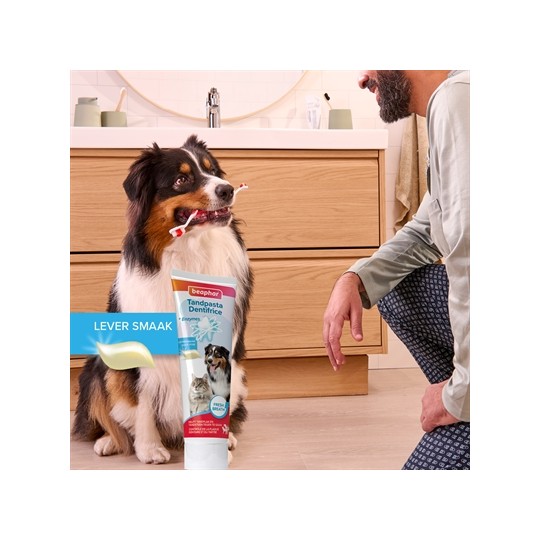 Beaphar Tandpasta En Borstel Combi-Pack