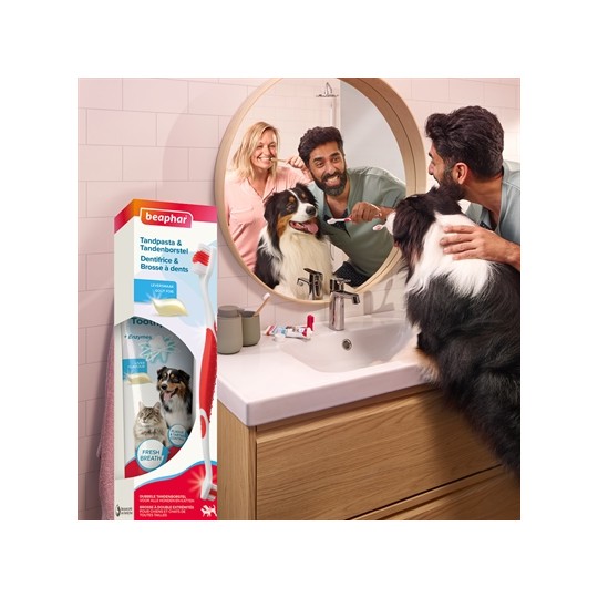Beaphar Tandpasta En Borstel Combi-Pack