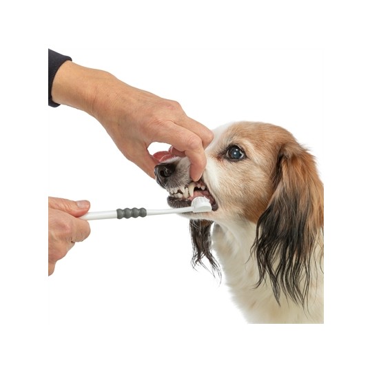 Trixie 3-Koppige Tandenborstel Hond / Kat Wit / Grijs