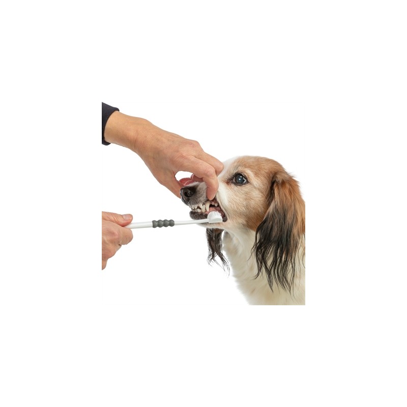 Trixie 3-Koppige Tandenborstel Hond / Kat Wit / Grijs