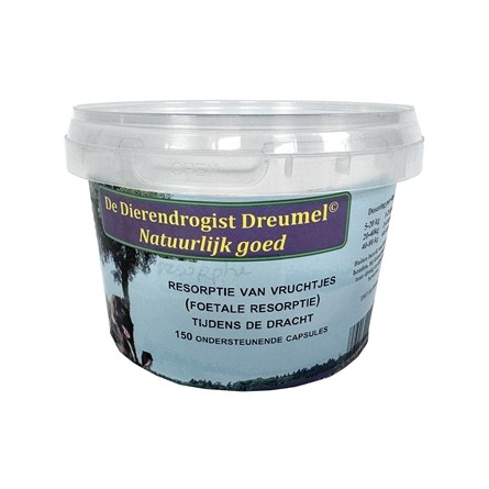 Dierendrogist Resorptie Van Vruchtjes Foetale Resorptie