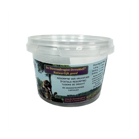 Dierendrogist Resoptie Van Vruchtjes Foetale Resorptie