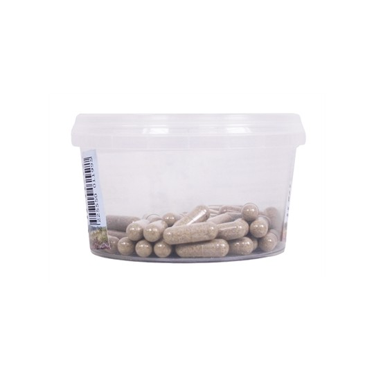 Dierendrogist Echinacea Bio Capsules