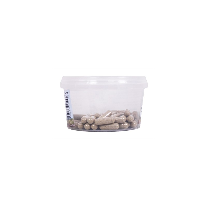 Dierendrogist Echinacea Bio Capsules