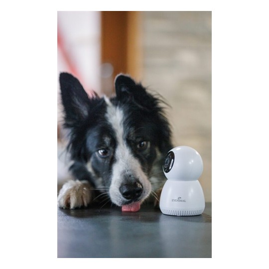 Numaxes Eyenimal Pet Vision Live Hd Camera Zonder Geluid Detectie