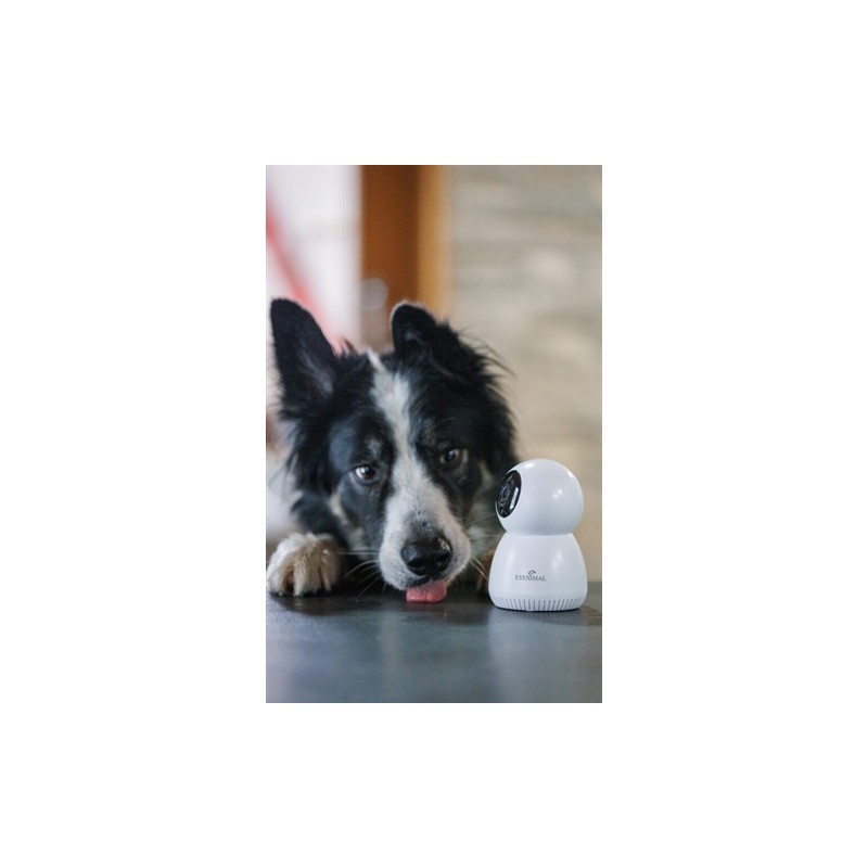 Numaxes Eyenimal Pet Vision Live Hd Camera Zonder Geluid Detectie